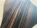 Taylor Style TA5-ThinWood™ Acoustic Pickguard- Macassar Ebony- Slant Grain