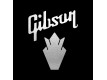 Gibson® Styles